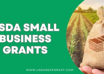 Boosting Rural Growth through REAP Funding