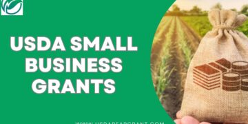 Boosting Rural Growth through REAP Funding