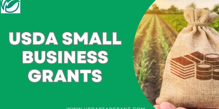 Boosting Rural Growth through REAP Funding