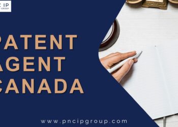 Expert Guidance for Your Intellectual Property Needs