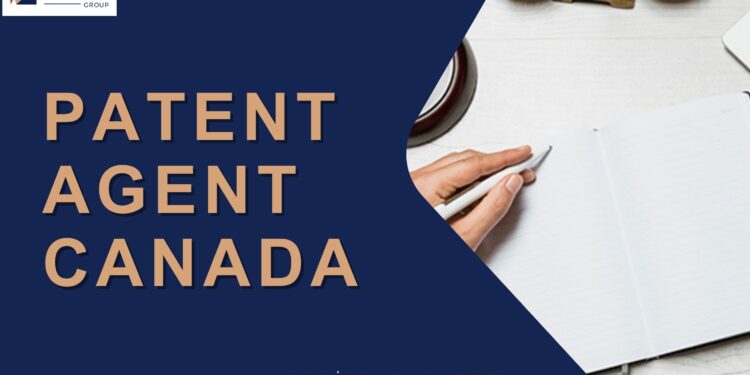 Expert Guidance for Your Intellectual Property Needs