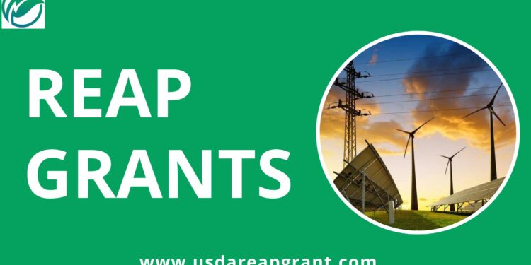 Funding Opportunities for Renewable Energy Projects