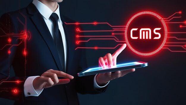 CMS developers in india