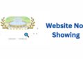 google not showing websites