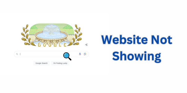 google not showing websites
