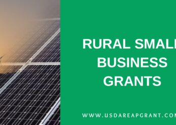 Essential Support for Rural Small Business Growth