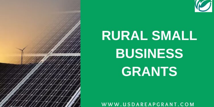 Essential Support for Rural Small Business Growth