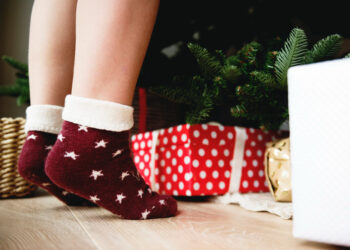 Novelty Socks Womens