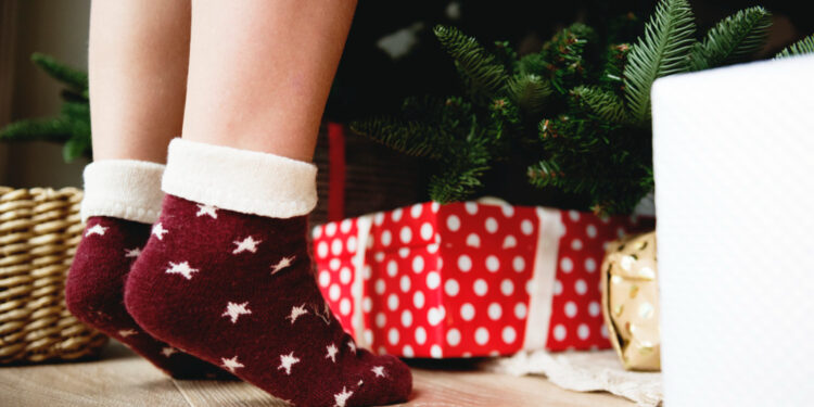 Novelty Socks Womens