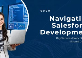 Navigating Salesforce Development (1)