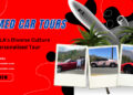 Themed Car Tours: Explore LA’s Diverse Culture with a Personalized Tour