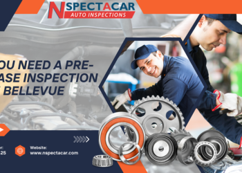 pre purchase inspection