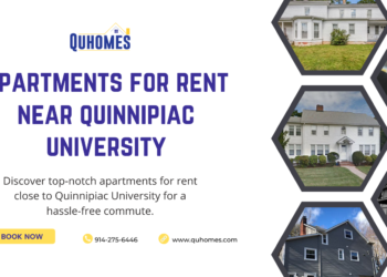 Your Guide to Finding the Perfect Apartment Near Quinnipiac University