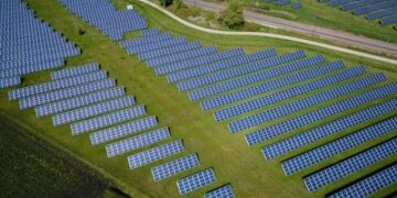 Navigating the USDA REAP Grant Application Process for Small Businesses