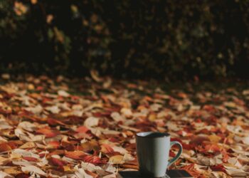 Discover Barbara Camp’s Self-Motivating Book in New York: A Journey to Personal Growth