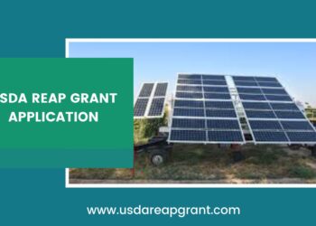 How to Apply for the USDA REAP Grant: A Step-by-Step Guide