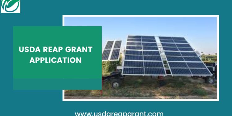How to Apply for the USDA REAP Grant: A Step-by-Step Guide