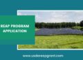 Master the USDA REAP Program Application: A Step-by-Step Guide for Success