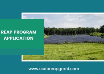 Master the USDA REAP Program Application: A Step-by-Step Guide for Success