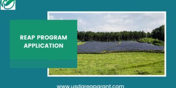 Master the USDA REAP Program Application: A Step-by-Step Guide for Success