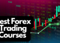 Zero-Cost Forex Education: Start Your Trading Journey