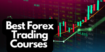Zero-Cost Forex Education: Start Your Trading Journey