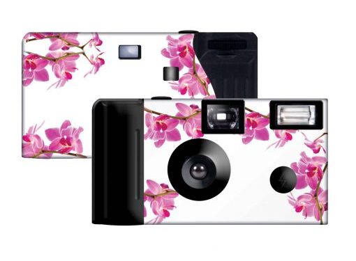 Capture Life’s Moments with Custom Camera Collection