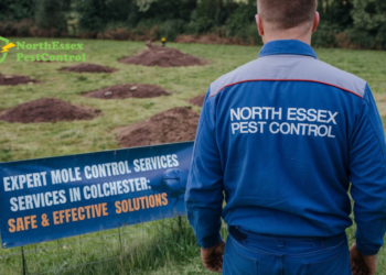 mole control colchester