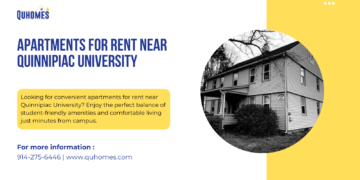 Quinnipiac University Off-Campus Housing: Top Apartment Options Nearby