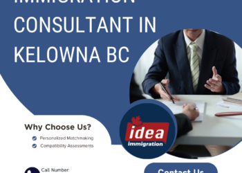 immigration consultant