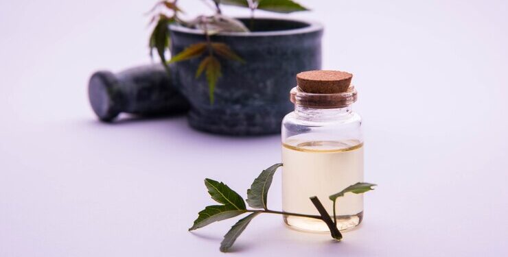 helichrysum essential oils