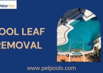 Professional Pool Leaf Removal Services for Sparkling Clean Water