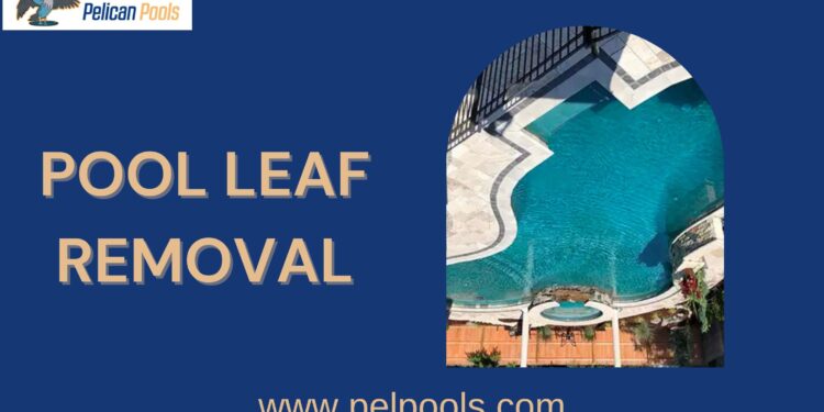 Professional Pool Leaf Removal Services for Sparkling Clean Water