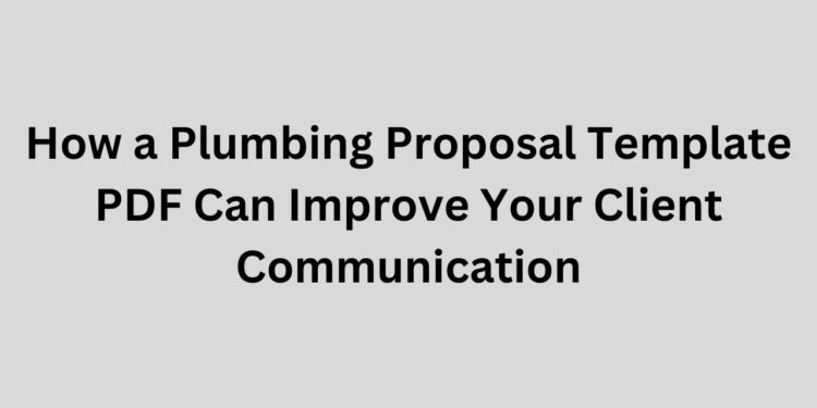 Plumbing Proposal Template PDF