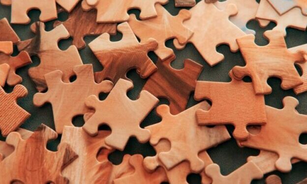 Shop Best Wooden Puzzles for Adults