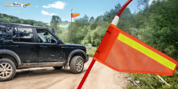 buggy whips for sale