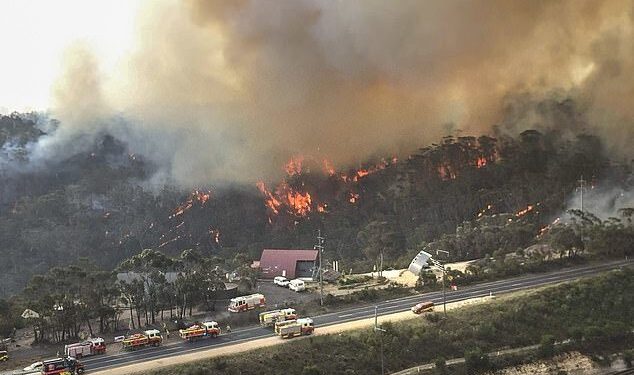 LA wildfires: Rams vs. Vikings could be moved to Arizona
