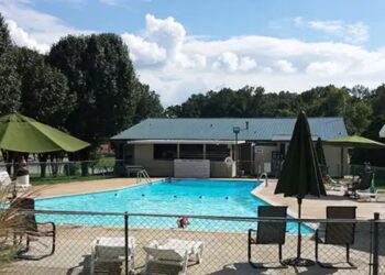 Pelican Pools: Your Partner in Sparkling Clean Saltwater Pools