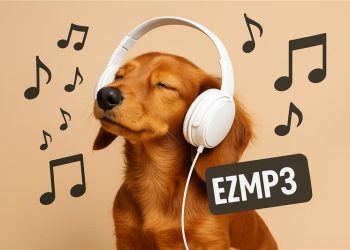 EzMP3: The Fastest YouTube to MP3 Converter – No Hassle, Just Clicks