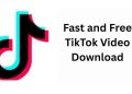 TikTok Video Downloader