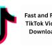 TikTok Video Downloader