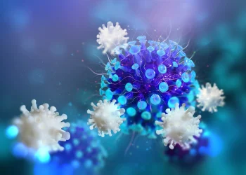 CCR1 Protein: A Chemokine Receptor at the Crossroads of Immunity and Disease