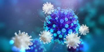 CCR1 Protein: A Chemokine Receptor at the Crossroads of Immunity and Disease