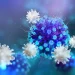 CCR1 Protein: A Chemokine Receptor at the Crossroads of Immunity and Disease