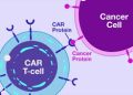 Comprehensive Guide to CAR-T Cell Therapy Targets: Updated Landscape 2025