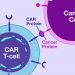 Comprehensive Guide to CAR-T Cell Therapy Targets: Updated Landscape 2025
