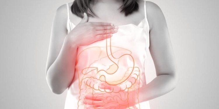 Cure for Gastrointestinal Disease: Modern Approaches to Digestive Health