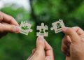 ESG Consulting in the UAE: Navigating the Future of Responsible Business