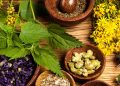 Herbal Natural Supplements: Nature’s Path to Wellness