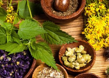 Herbal Natural Supplements: Nature’s Path to Wellness